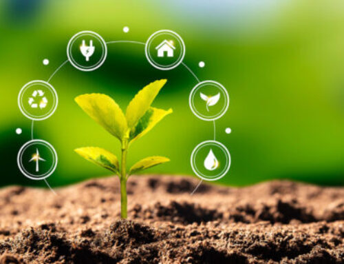 Sustentabilidade Empresarial